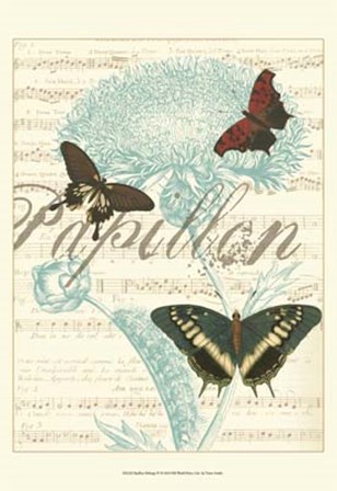 Papillon Melange IV by Vision Studio art print