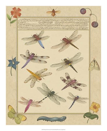 Dragonfly Manuscript III by Jaggu Prasad art print