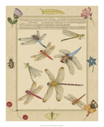 Dragonfly Manuscript IV by Jaggu Prasad art print