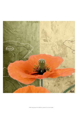 Orange Poppies III by Patty Q art print