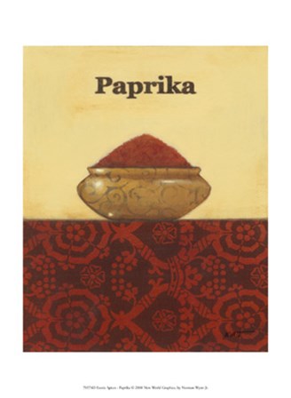 Exotic Spices - Paprika by Norman Wyatt Jr. art print