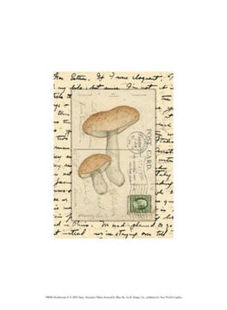 Mushrooms II by Nancy Shumaker art print