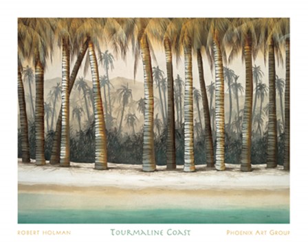 Tourmaline Coast by Robert Holman art print