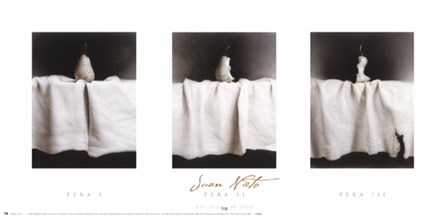 Pera I, Pera II, Pera III by Juan B. Nieto art print
