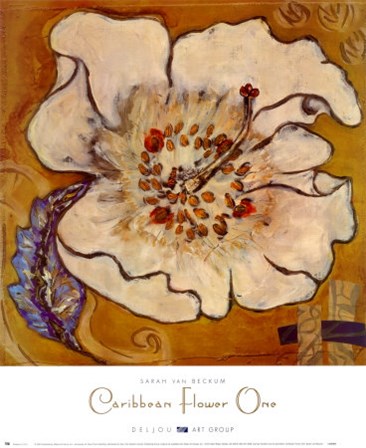 Caribbean Flower One by Sarah Van Beckum art print