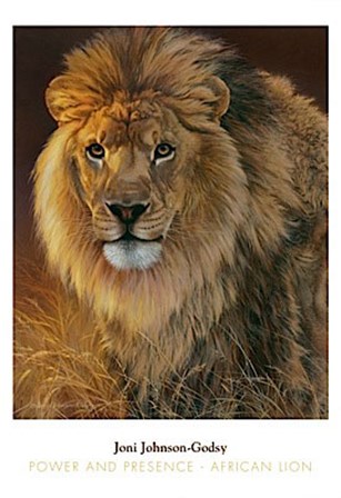 Power and Presence- African Lion by Joni Johnson-Godsy art print