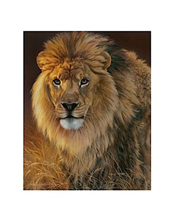 Power and Presence- African Lion by Joni Johnson-Godsy art print