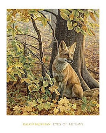 Eyes of Autumn by Kalon Baughan art print