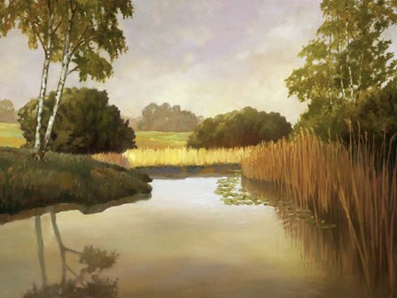 Reeds, Birches &amp; Water I by Graham Reynolds art print