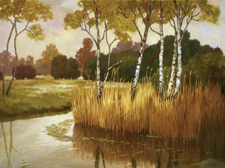 Reeds, Birches &amp; Water II by Graham Reynolds art print
