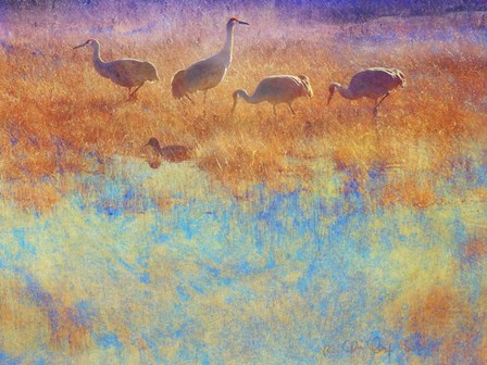 Cranes in Soft Mist by Chris Vest art print