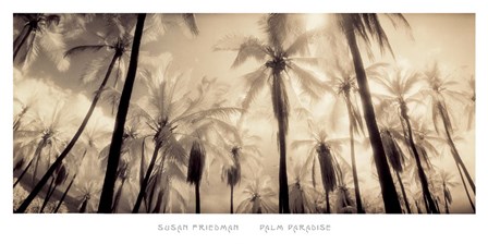 Palm Paradise by Susan Friedman art print