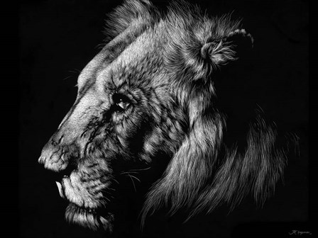 Wildlife Scratchboards I by Julie Chapman art print