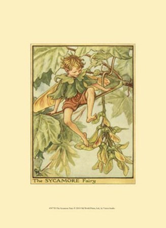 The Sycamore Fairy by Vision Studio art print
