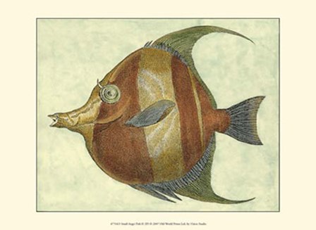 Small Angel Fish II by Jennifer Goldberger art print