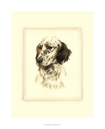 Setter by Leon Danchin art print