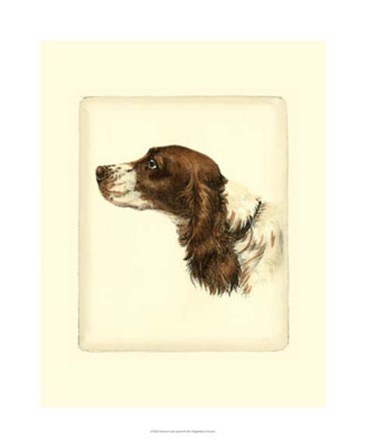 Cocker Spaniel by Leon Danchin art print