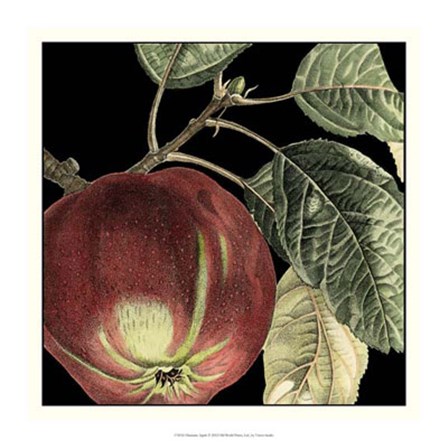 Dramatic Apple by Vision Studio art print