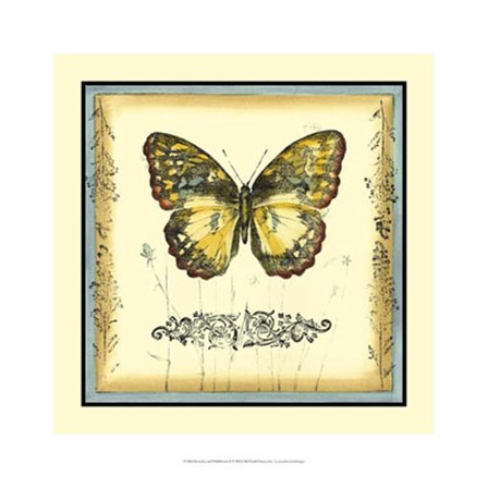 Butterfly and Wildflowers II by Jennifer Goldberger art print