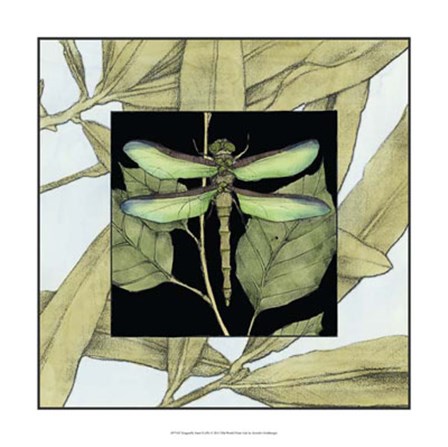 Dragonfly Inset II by Jennifer Goldberger art print