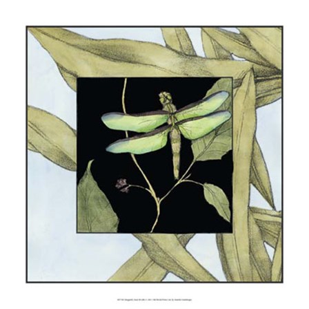 Dragonfly Inset III by Jennifer Goldberger art print