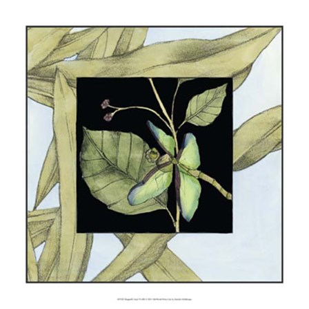 Dragonfly Inset VI by Jennifer Goldberger art print