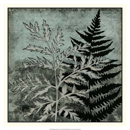 Illuminated Ferns IV by Megan Meagher art print