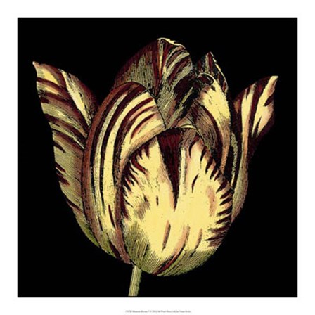 Dramatic Blooms V by Vision Studio art print