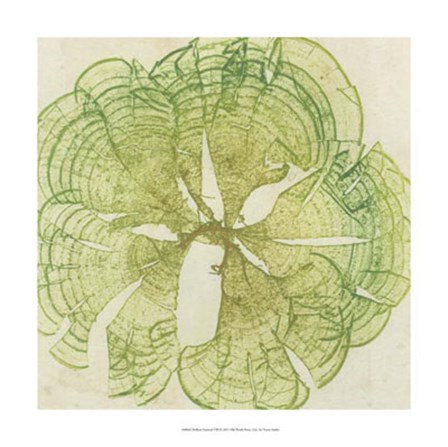 Brilliant Seaweed VIII by Vision Studio art print