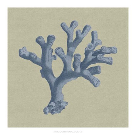 Chambray Coral II by Vision Studio art print