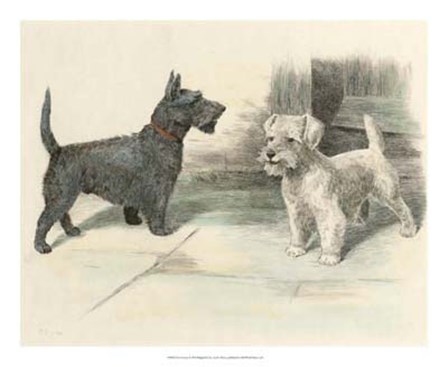 Two Scotties by Helen Dixon art print