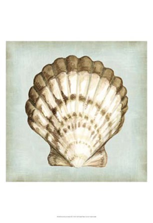 Sea Dream Shells III by Vision Studio art print