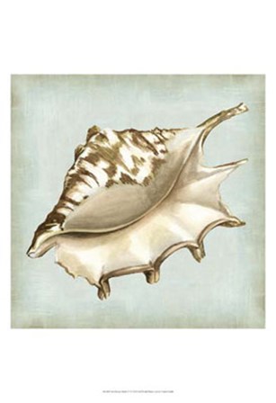 Sea Dream Shells IV by Vision Studio art print