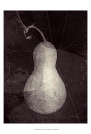 Gourd I by Elena Ray art print