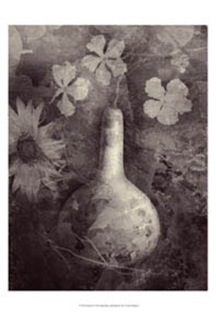 Gourd II by Elena Ray art print