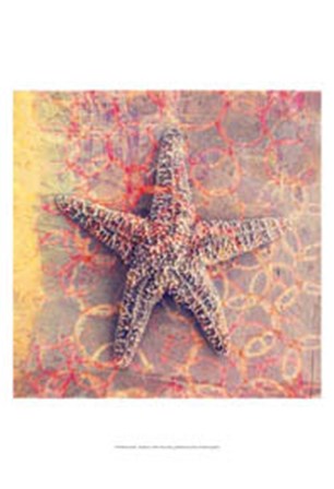 Seashell-Starfish by Elena Ray art print