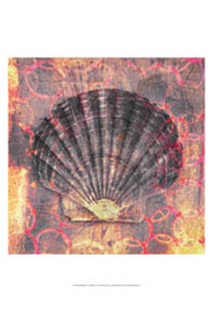 Seashell-Scallop by Elena Ray art print