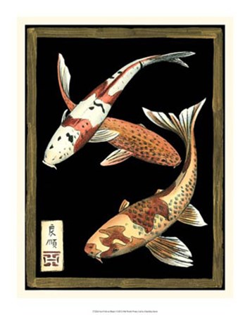 Koi Fish on Black I by Chariklia Zarris art print