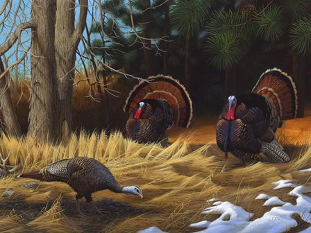 Turkies by Leo Stans art print