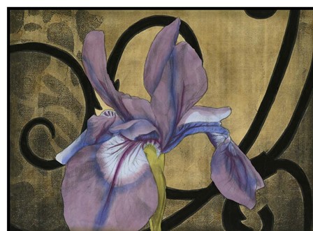 Iris &amp; Scrolls I by Jennifer Goldberger art print