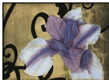Iris &amp; Scrolls II by Jennifer Goldberger art print