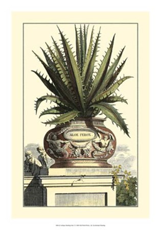 Antique Munting Aloe I by Abraham Munting art print