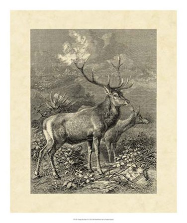 Vintage Roe Deer II by Friedrich Specht art print