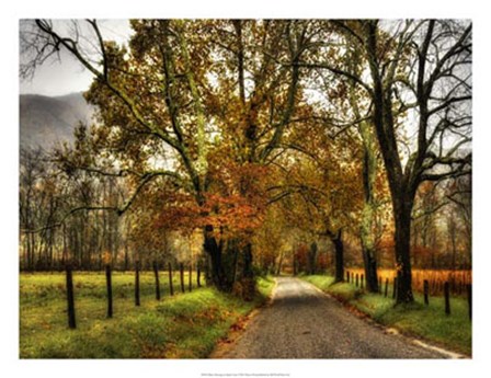 Rainy Morning on Sparks Lane by Danny Head art print