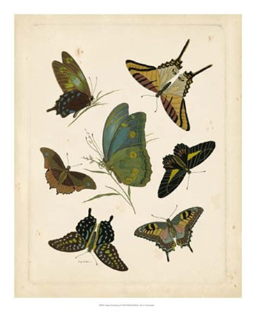 Antique Entomology I by Vision Studio art print