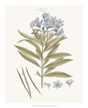 Bashful Blue Florals III by John Miller art print