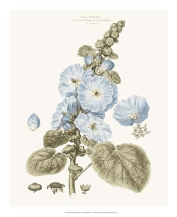 Bashful Blue Florals IV by John Miller art print