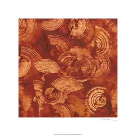 Nautilus in Rust II by Sharon Gordon art print