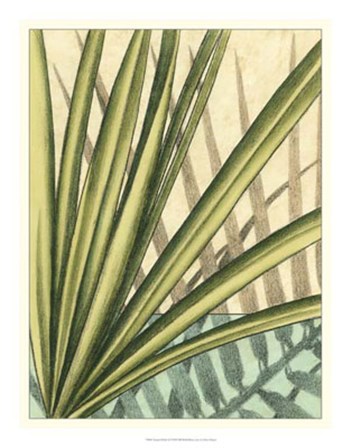 Tropical Shade II by Ethan Harper art print