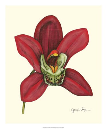 Majestic Orchid III by Jennifer Goldberger art print